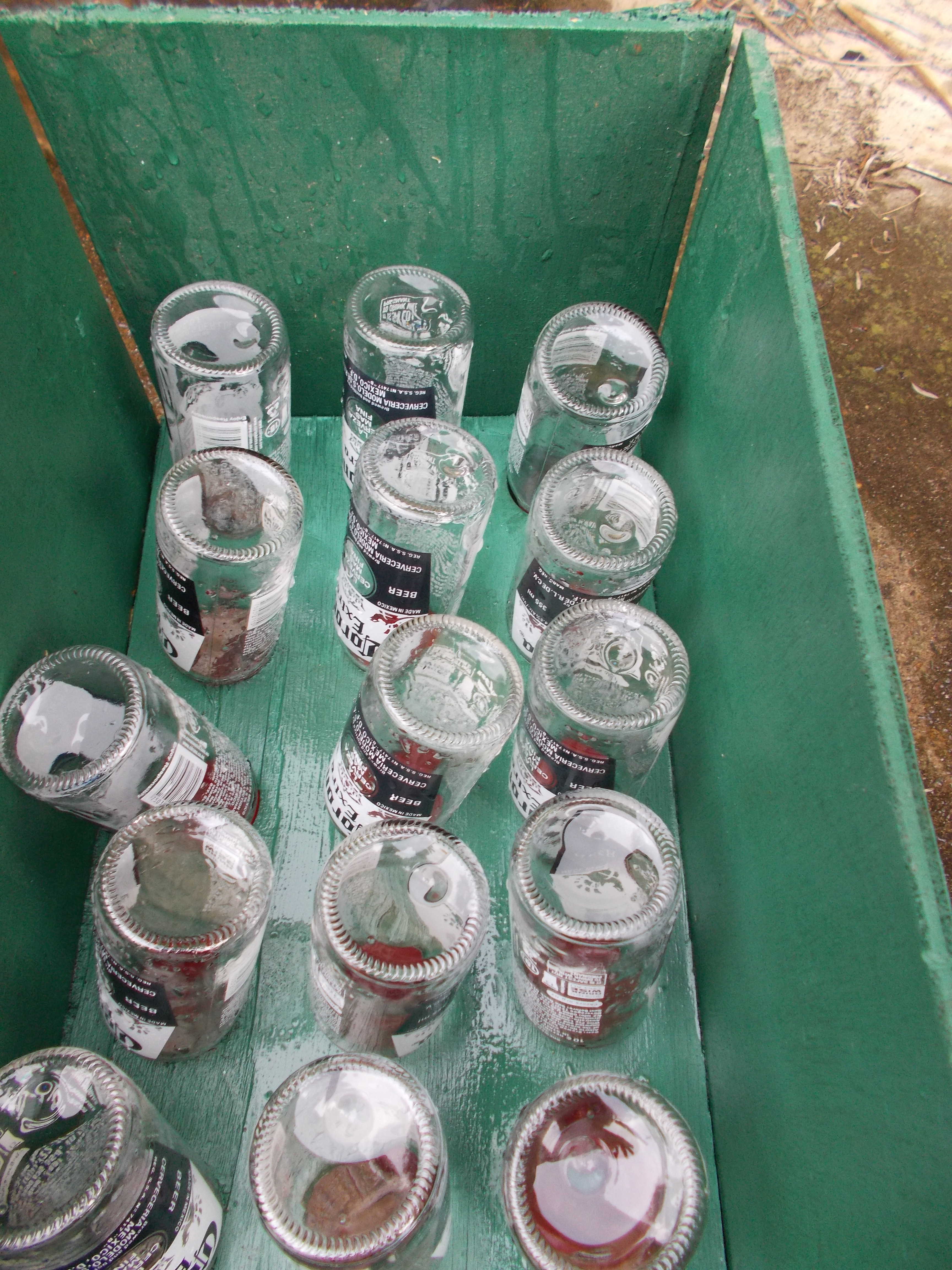 corona bottles draining